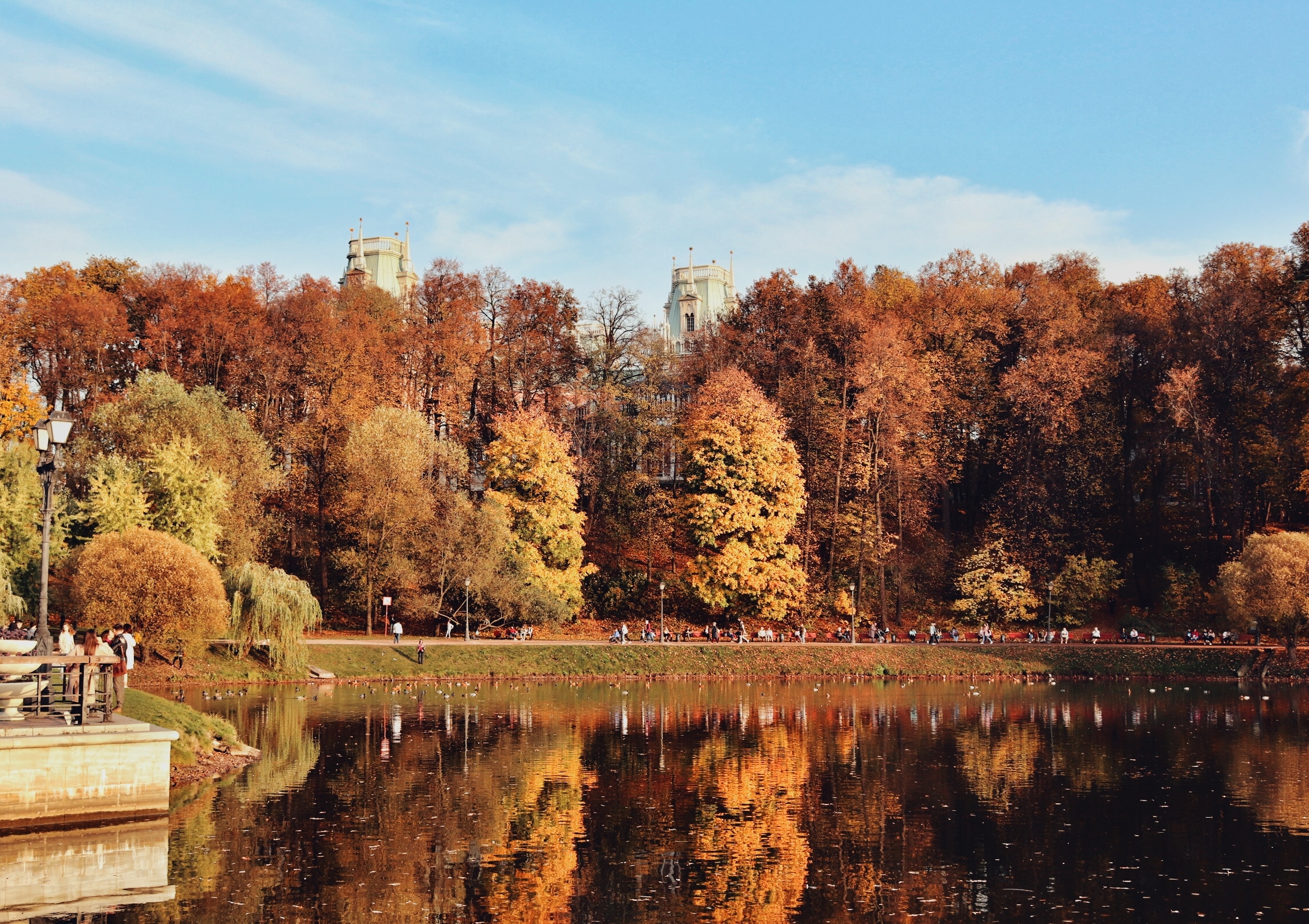 Фото участника: Татьяна Бурмистрова