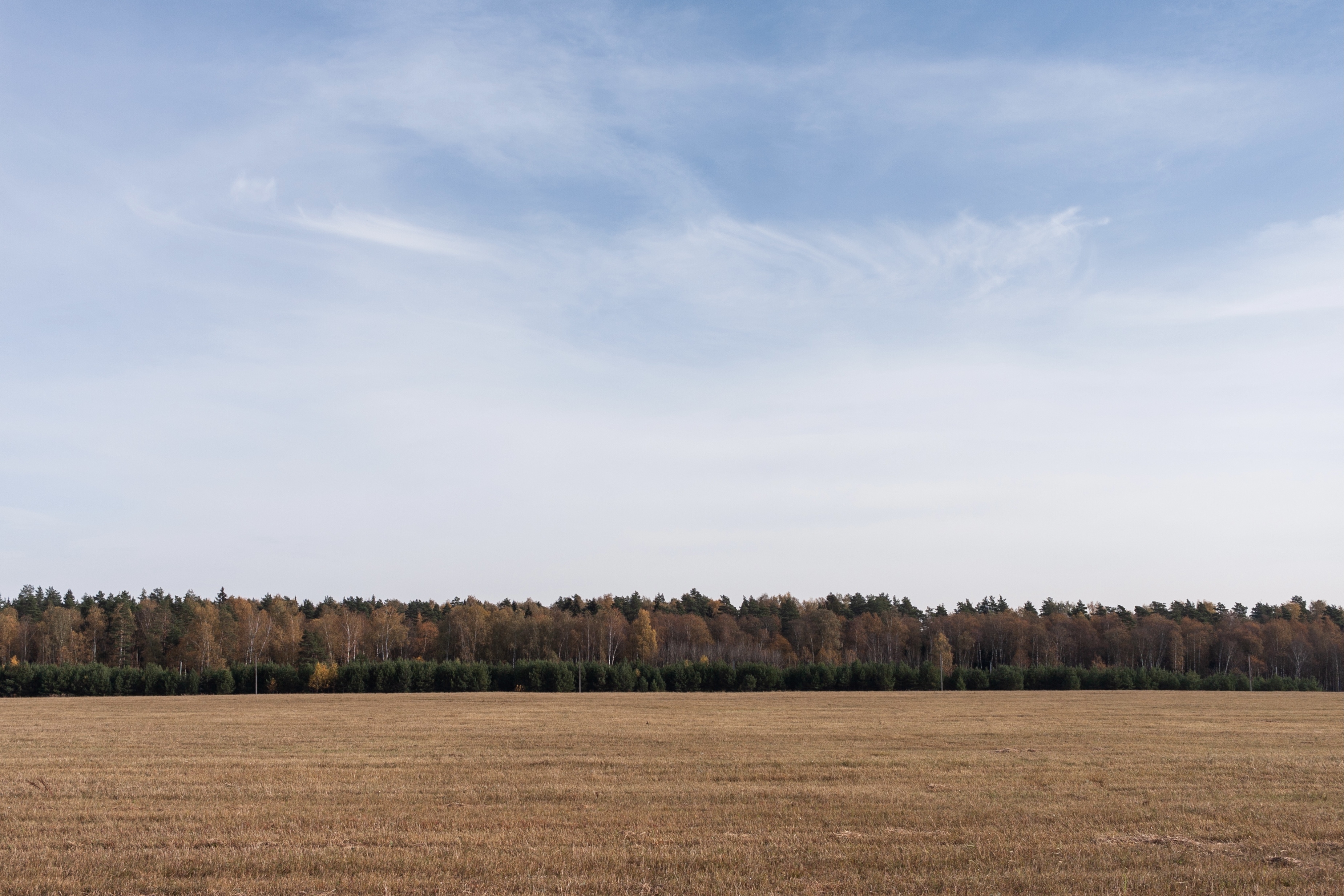 Фото участника: Ксения Булах