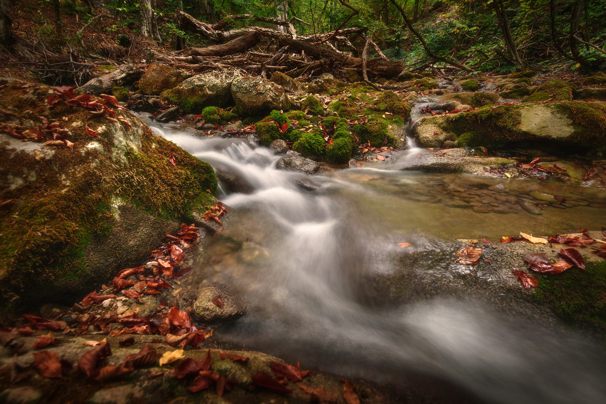 Фото участника: Антон Денисенко