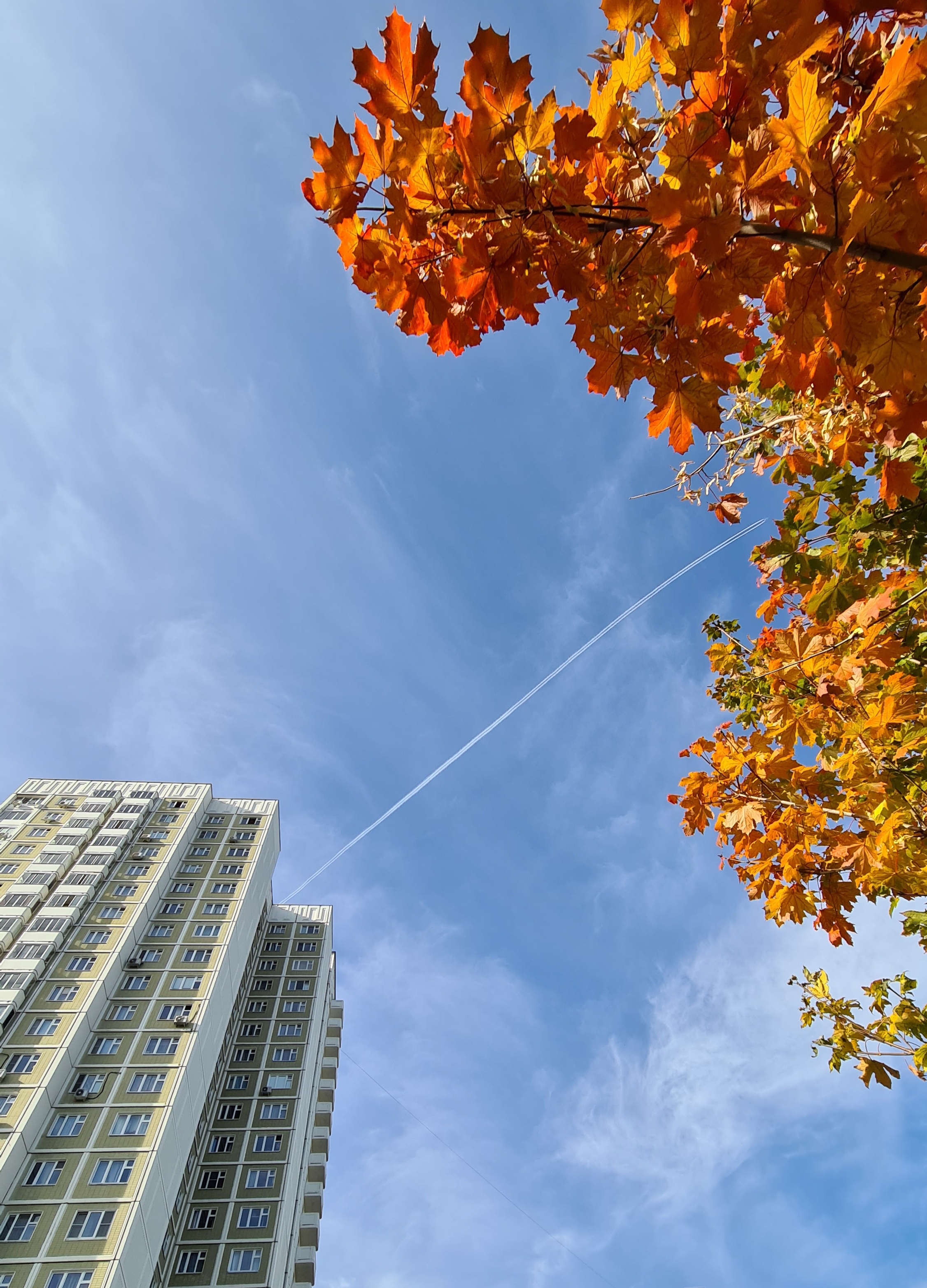 Фото участника: Петухова Анастасия