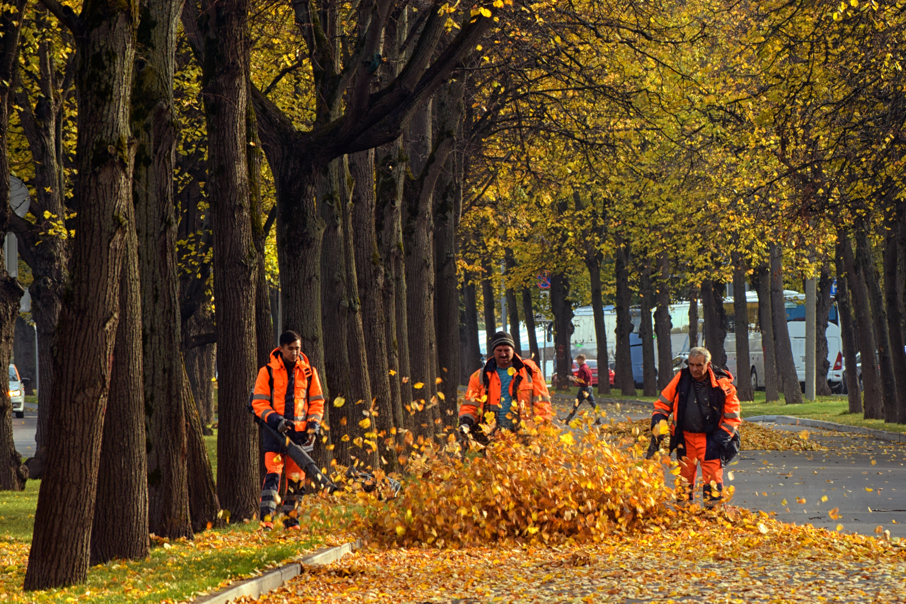 Фото участника: Владимир Дроздов