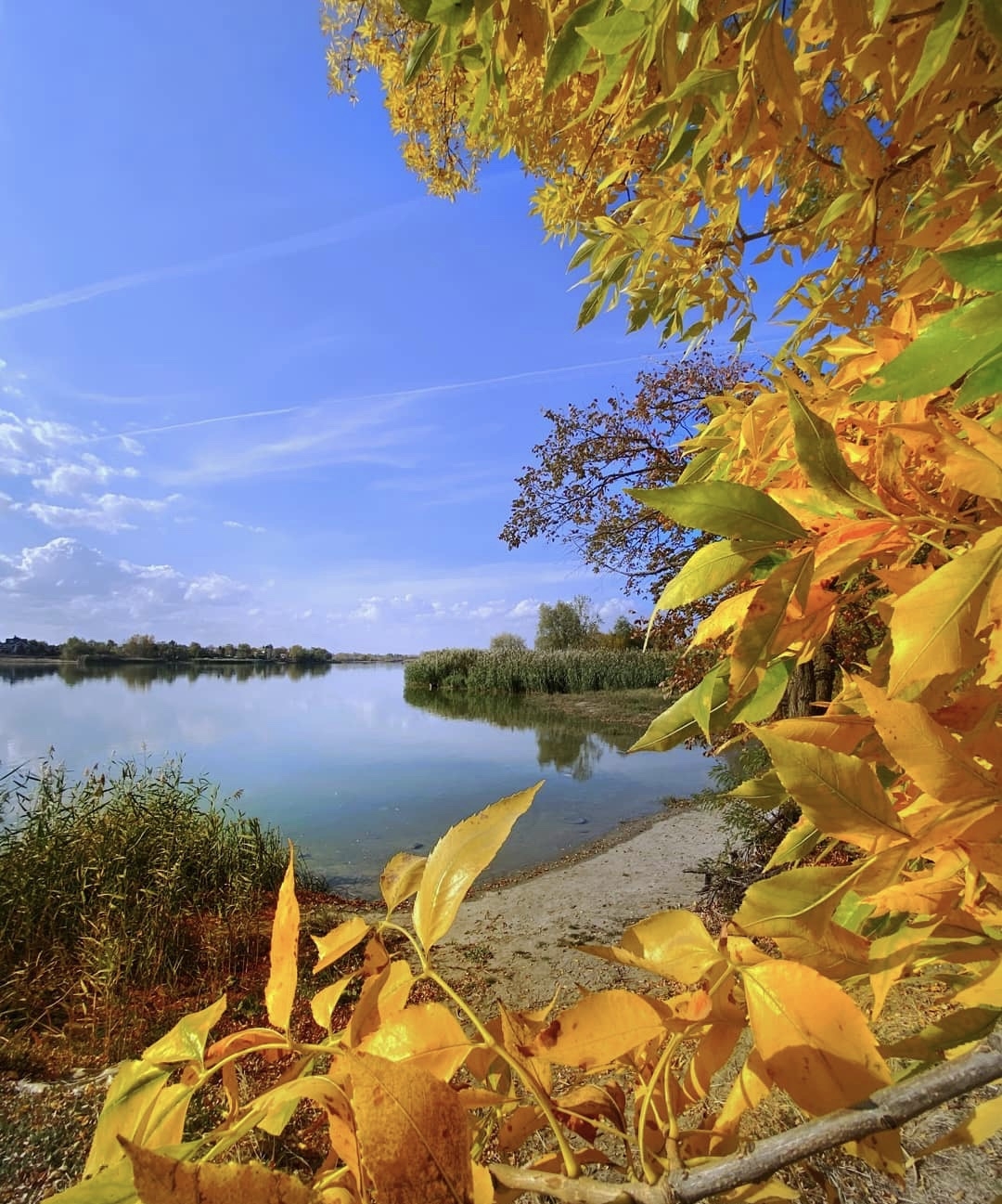 Фото участника: Анна Афанасьева