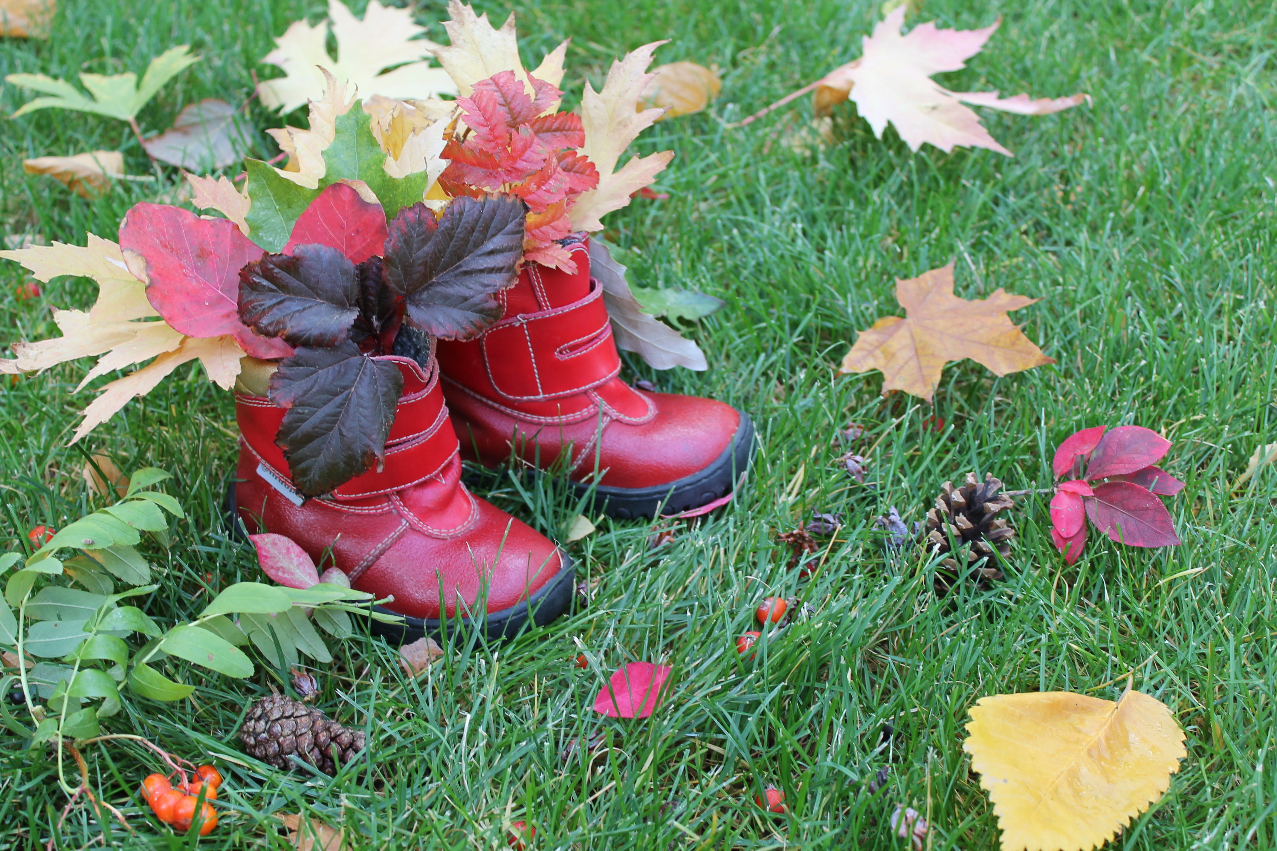 Фото участника: Людмила Круглякова