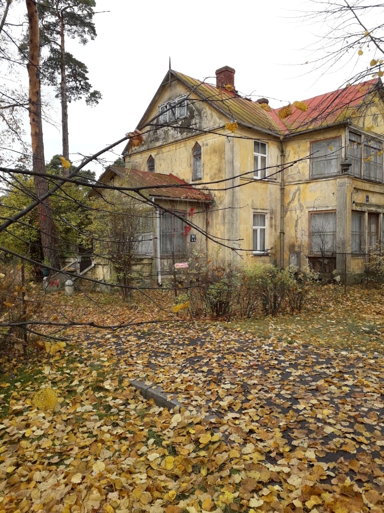 Фото участника: Олеся Ситнова