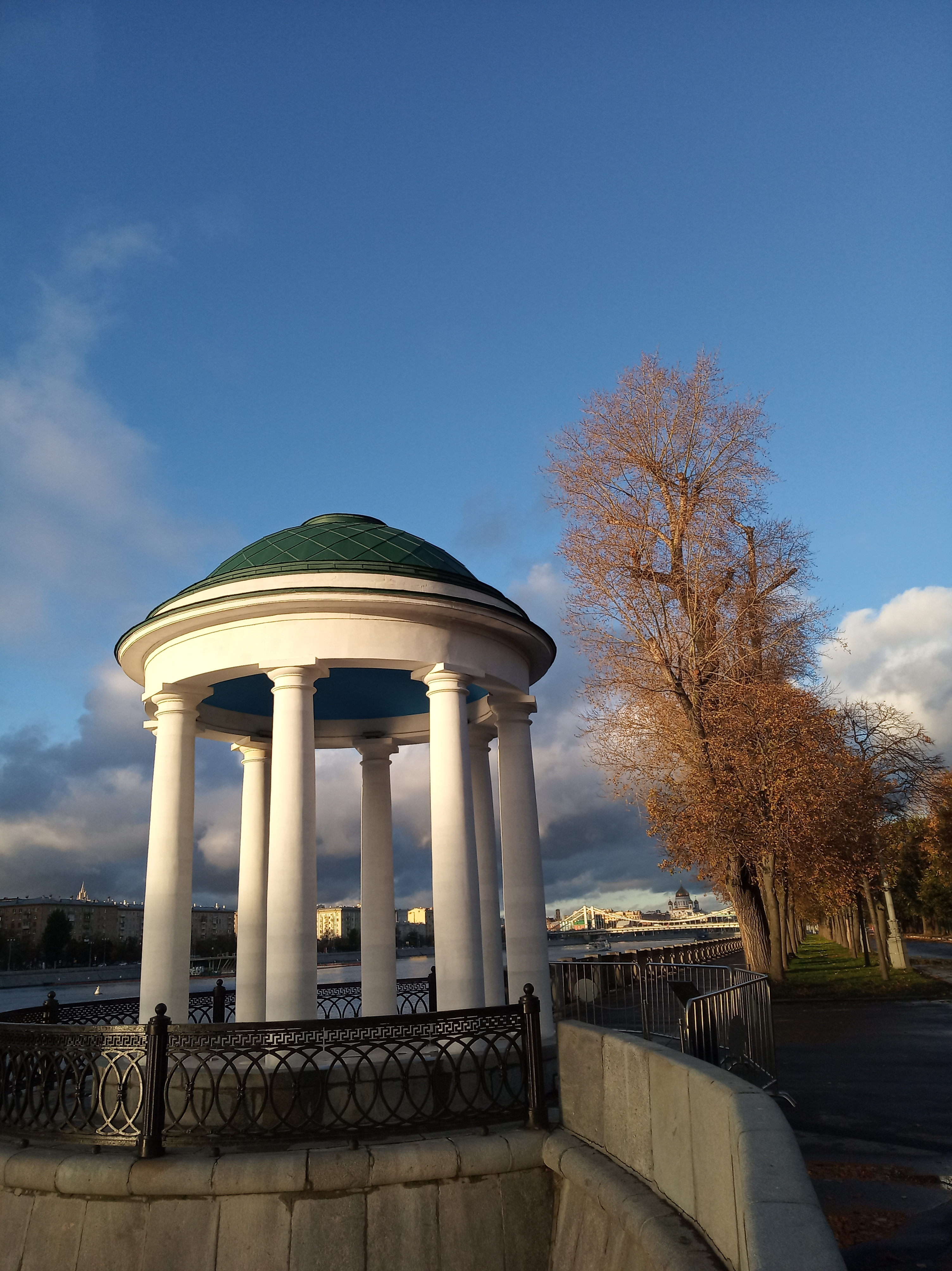 Фото участника: Седых Людмила