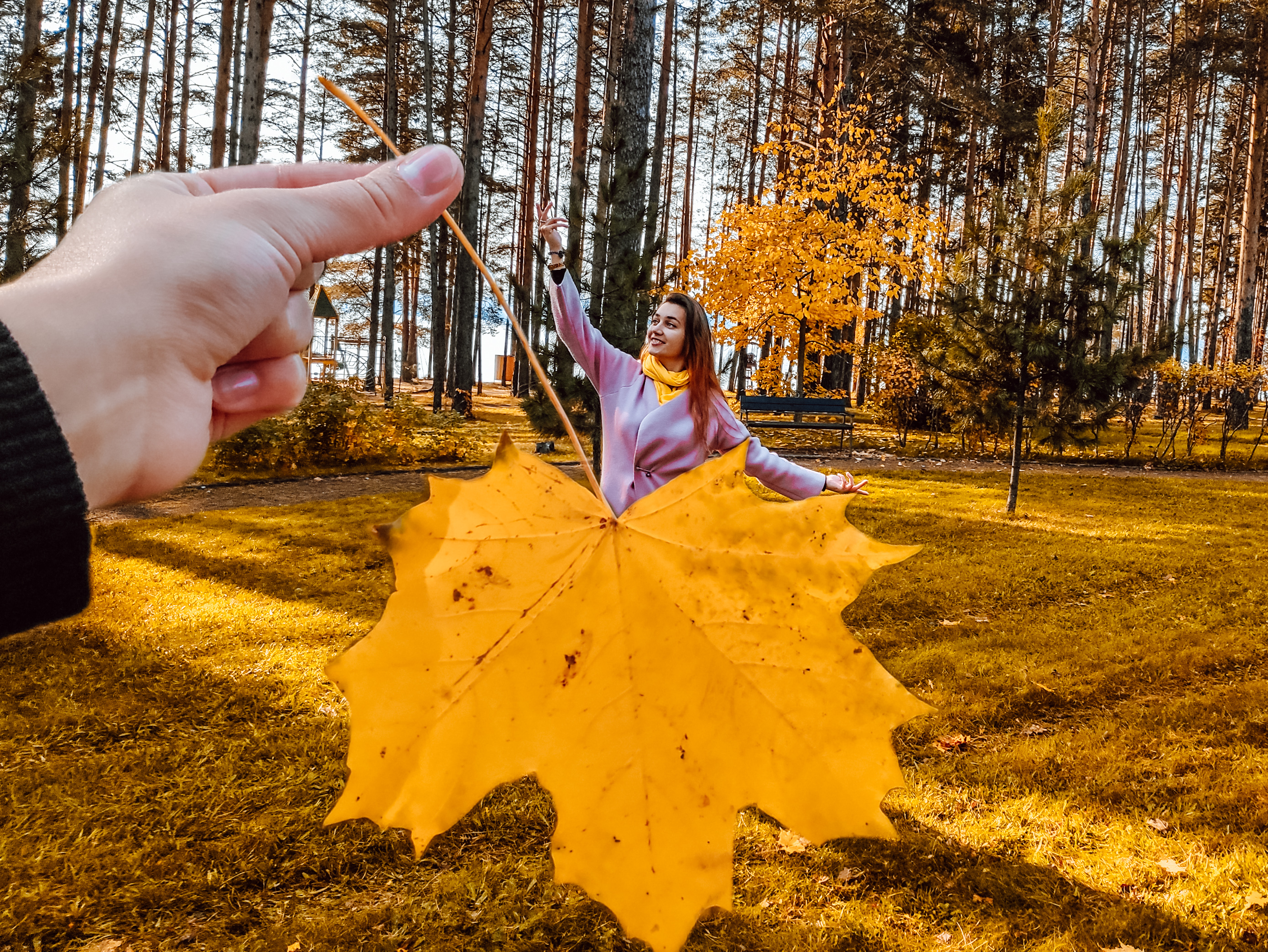 Фото участника: Антон Коротаев