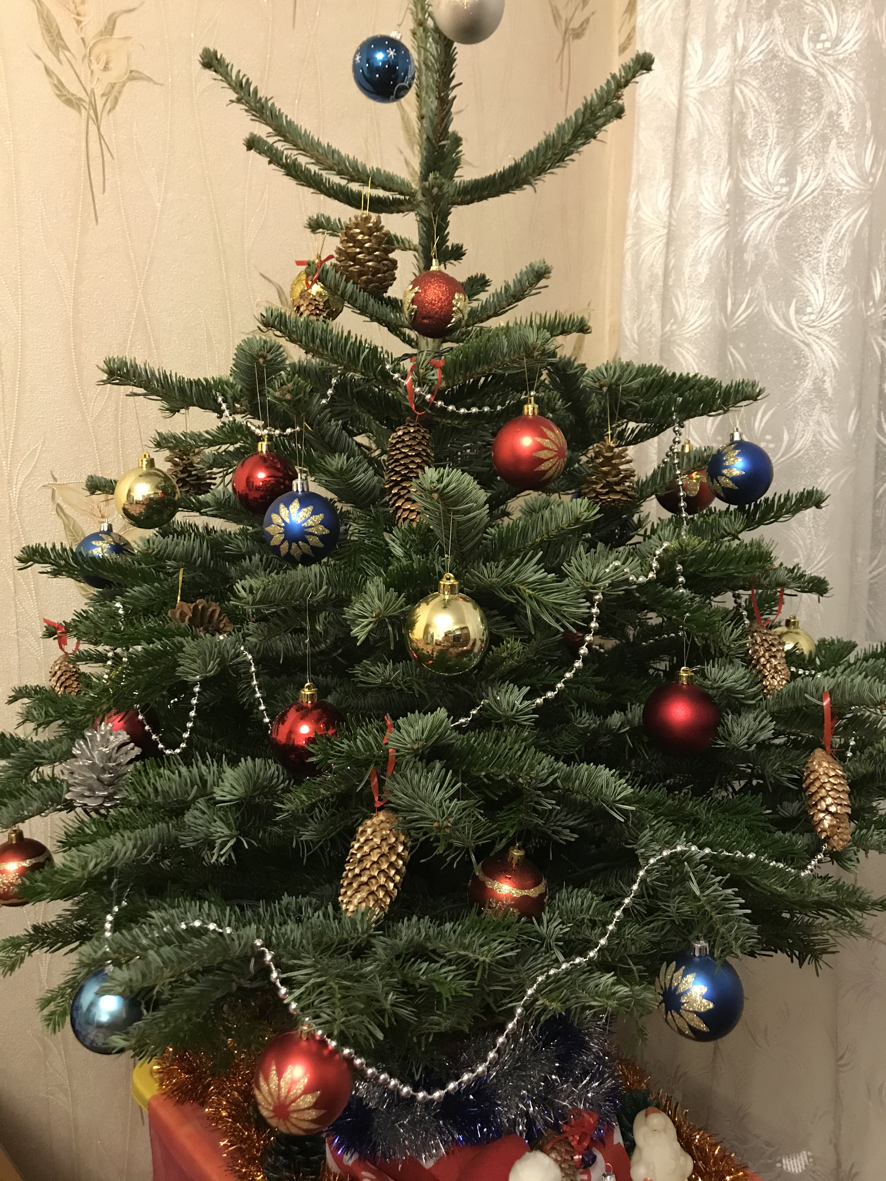 Фото участника: Кириллов Сергей