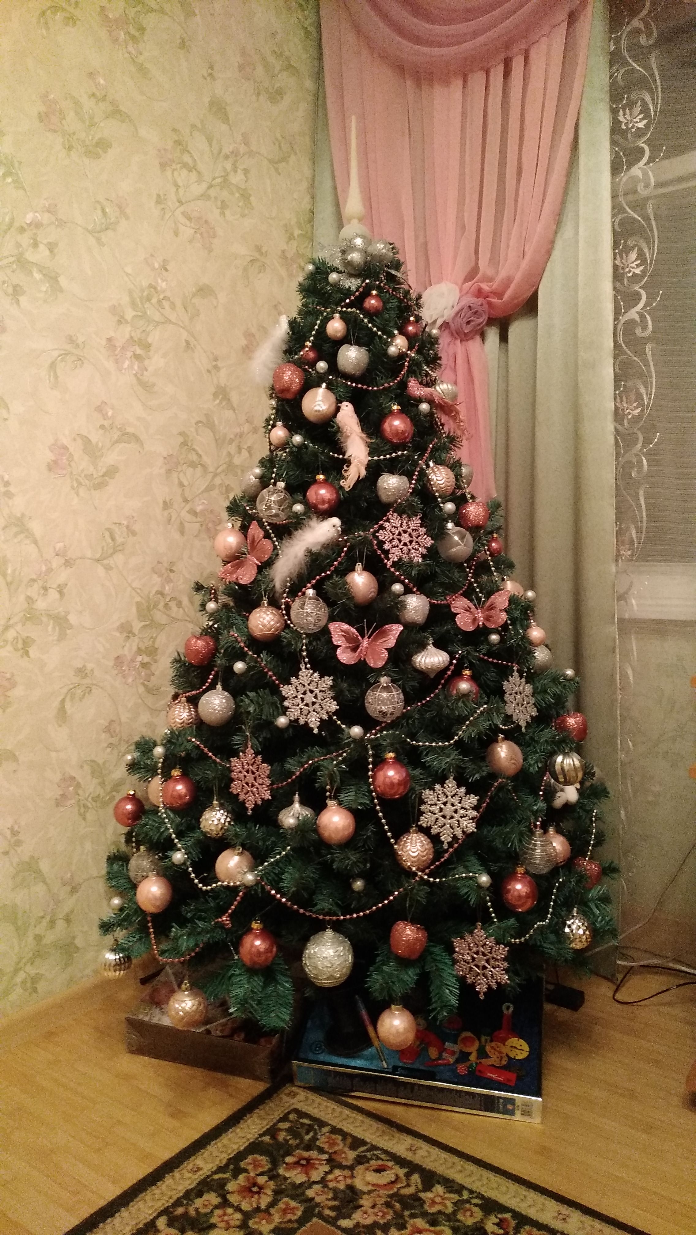 Фото участника: Васильева Александра