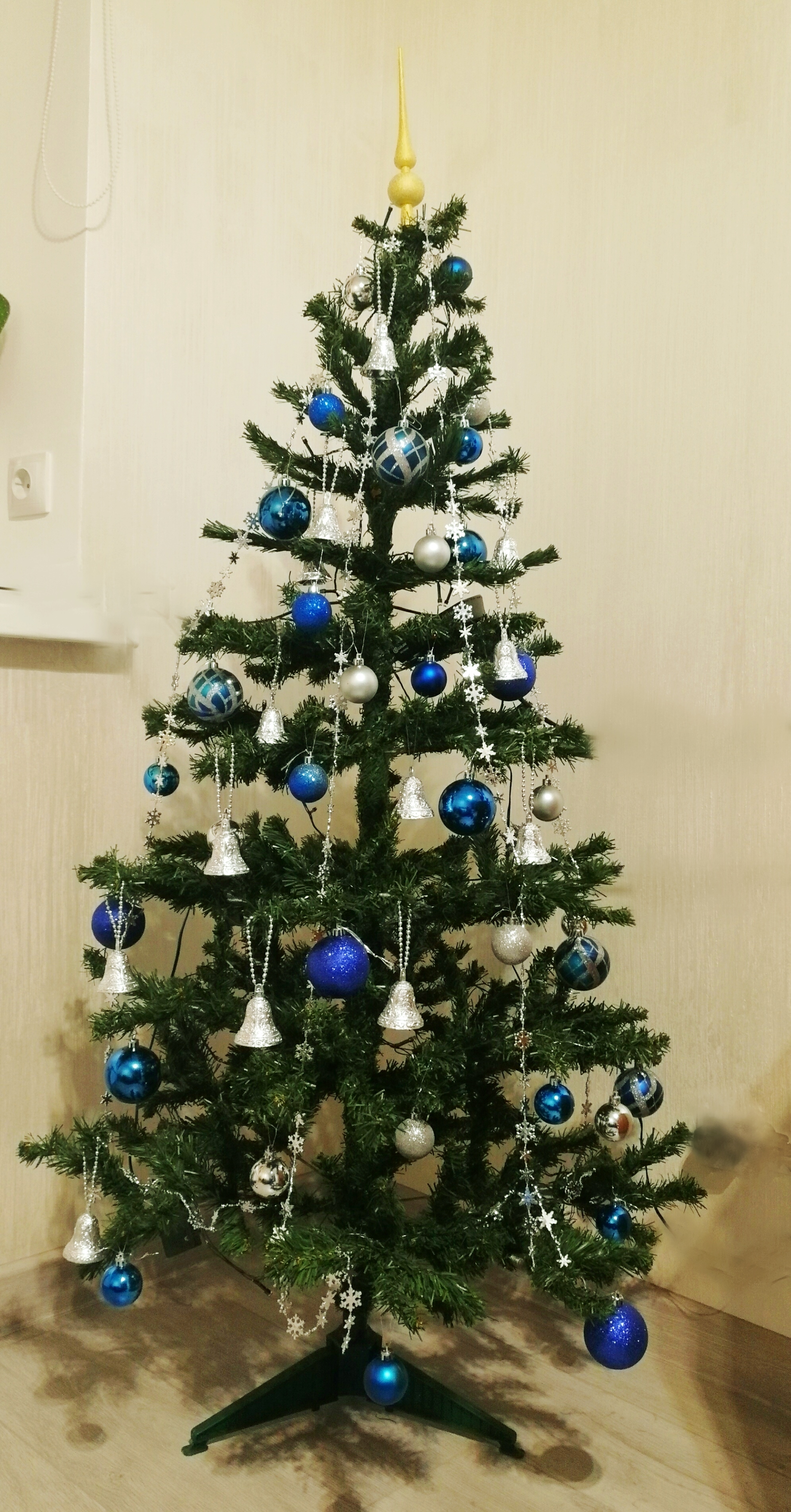 Фото участника: Чернобровкина Александра