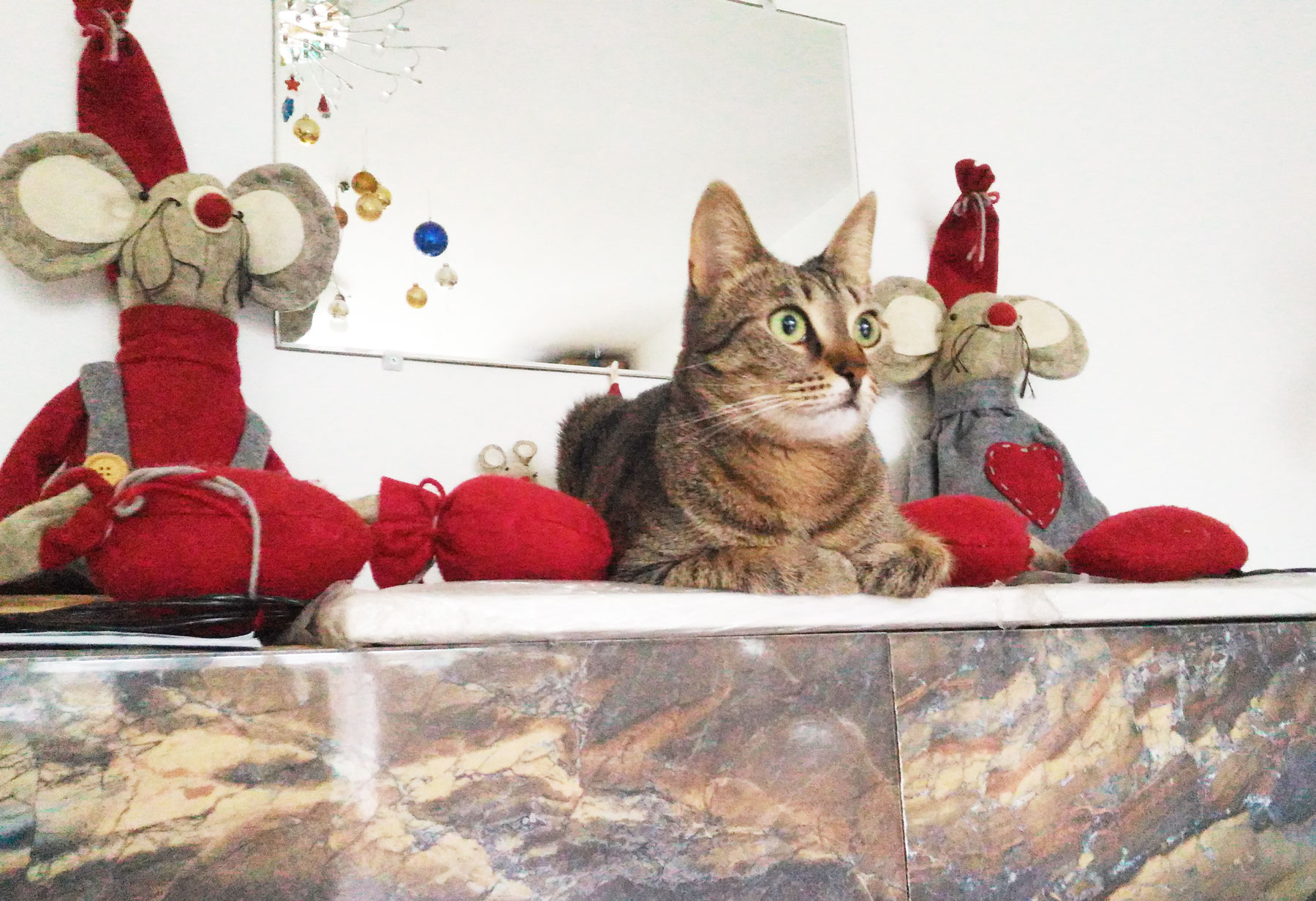 Фото участника: Алексей Викторович