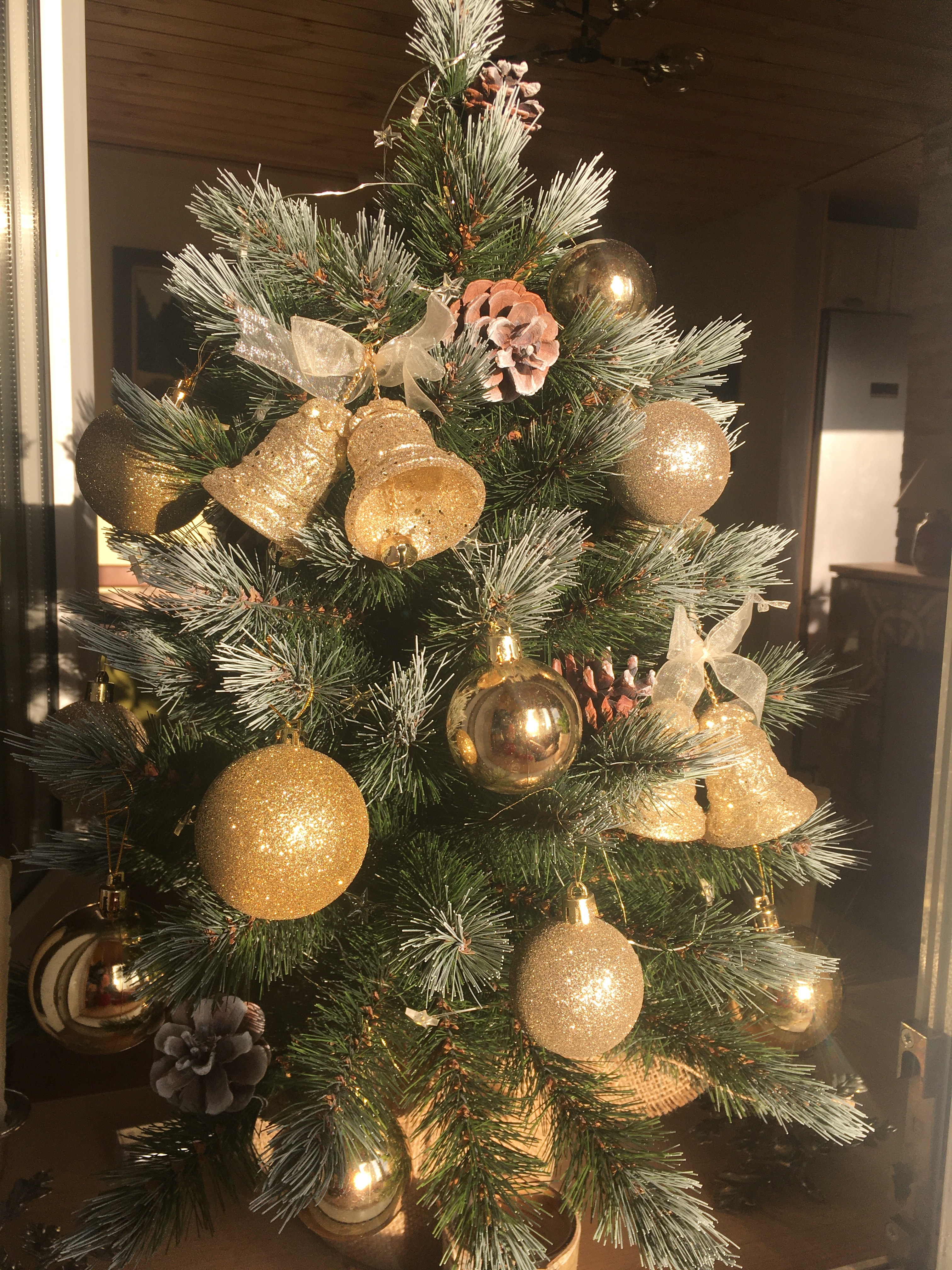 Фото участника: Аглая Кокурина