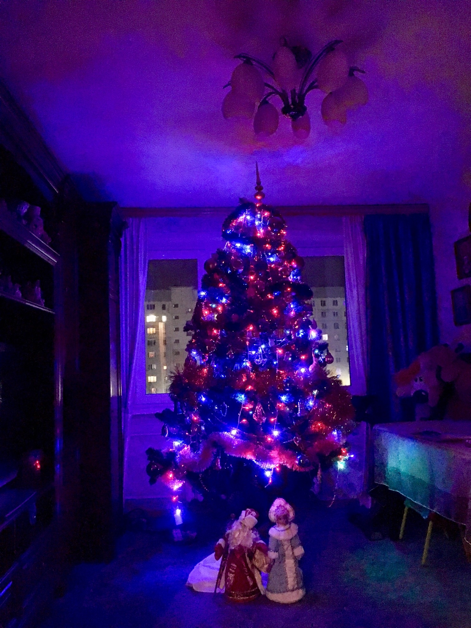 Фото участника: Олеся Щегорская