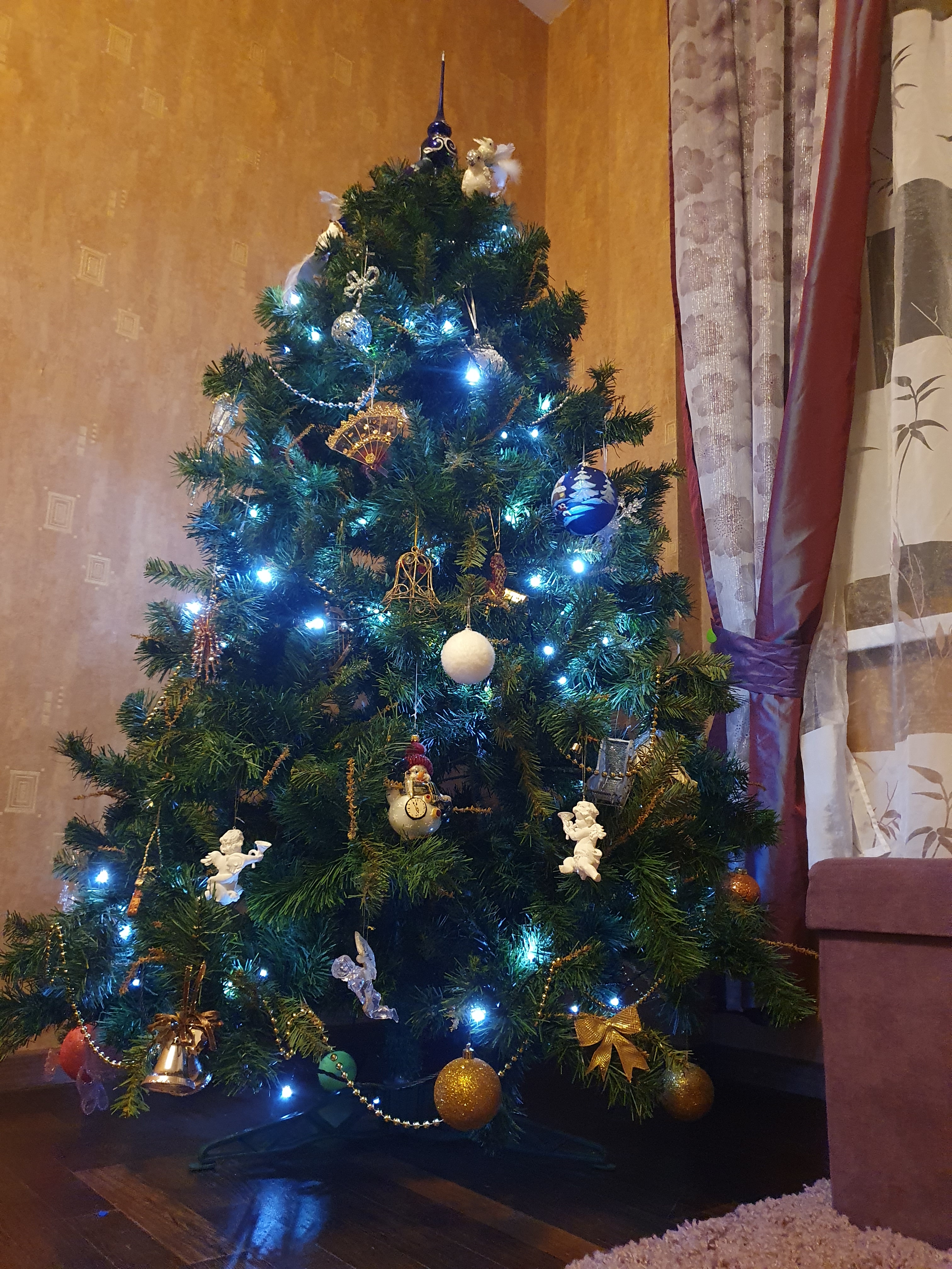 Фото участника: Гончарова Екатерина