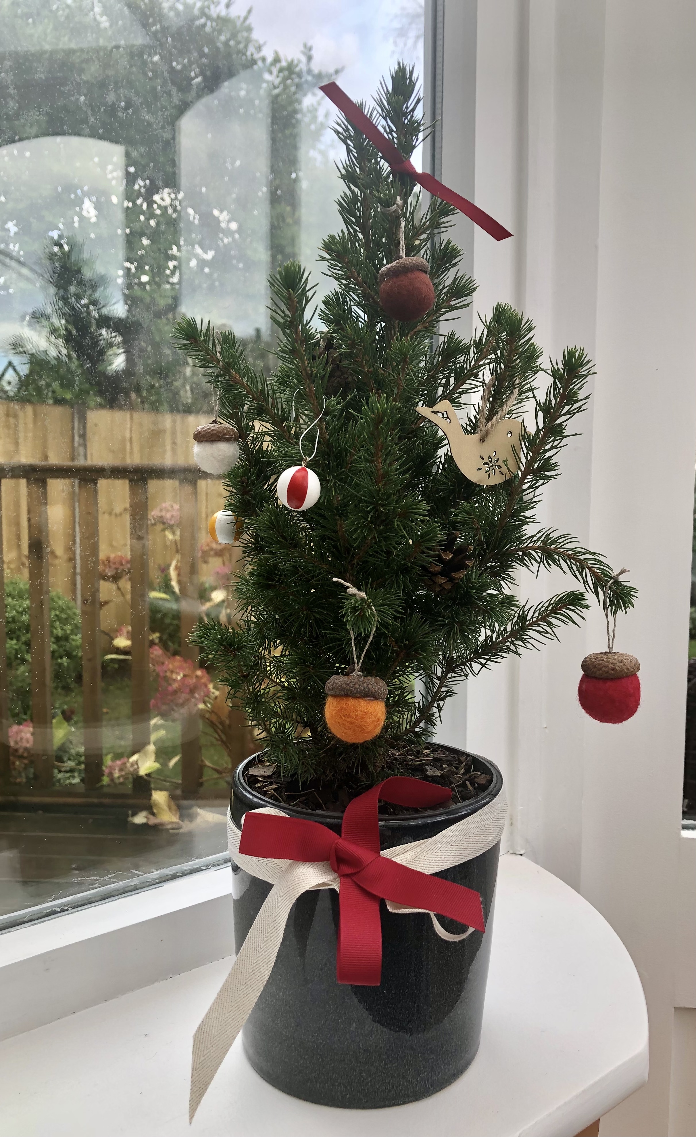 Фото участника: Миша Дубянский