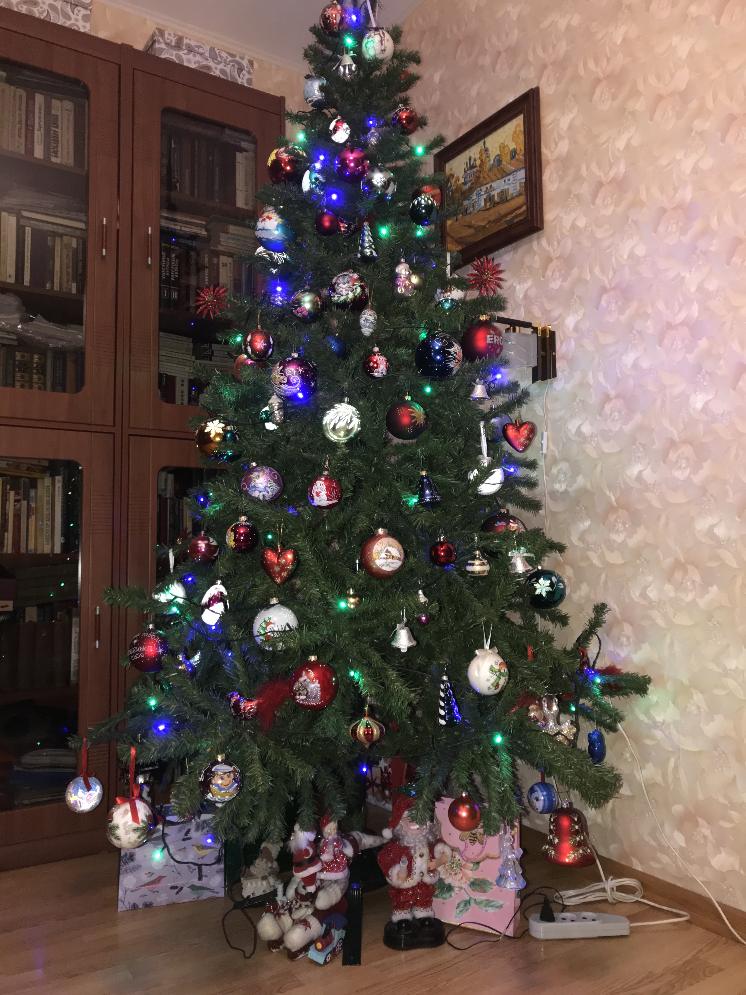 Фото участника: Александра Качанова