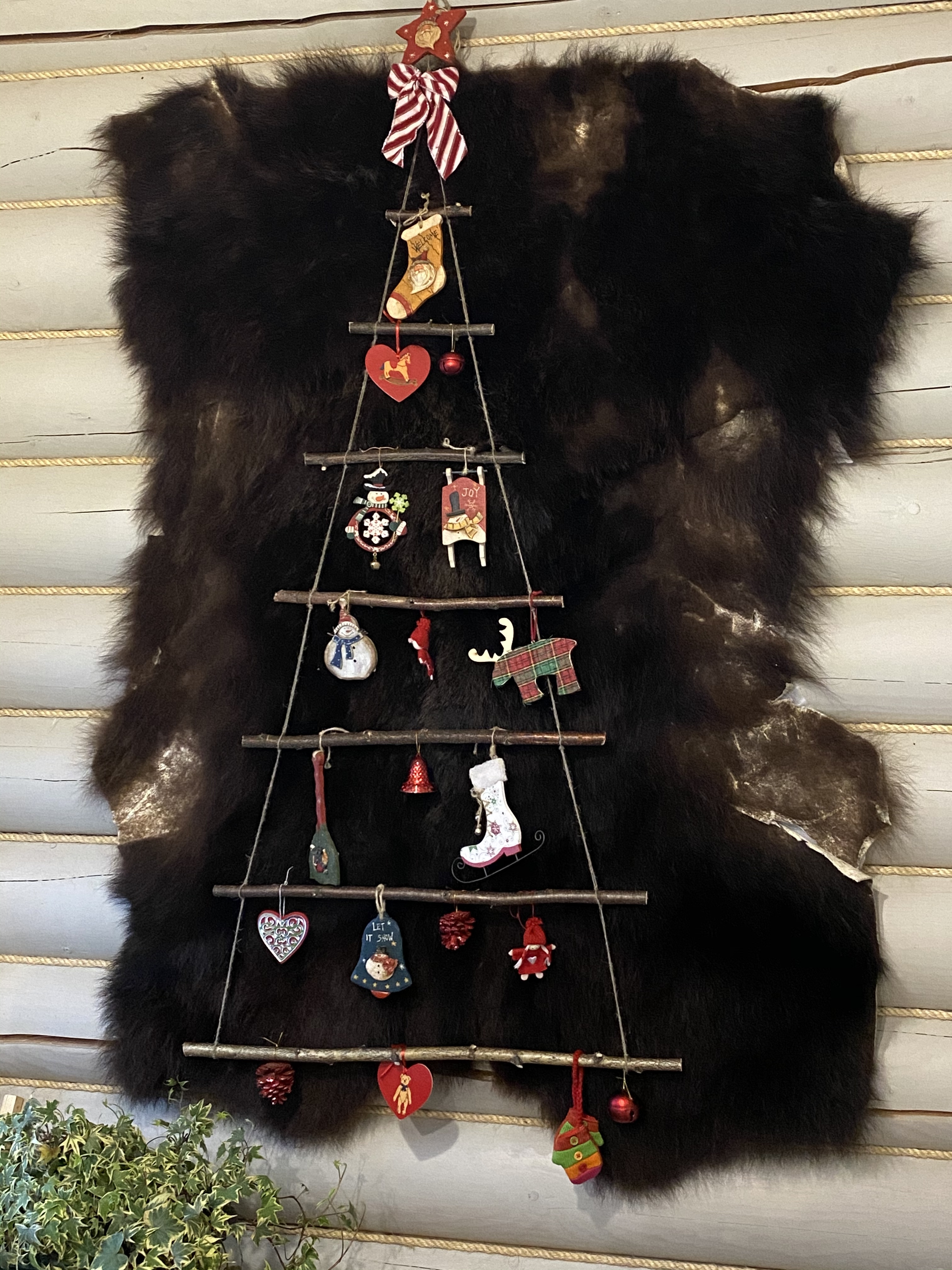 Фото участника: Ирина Свавильная