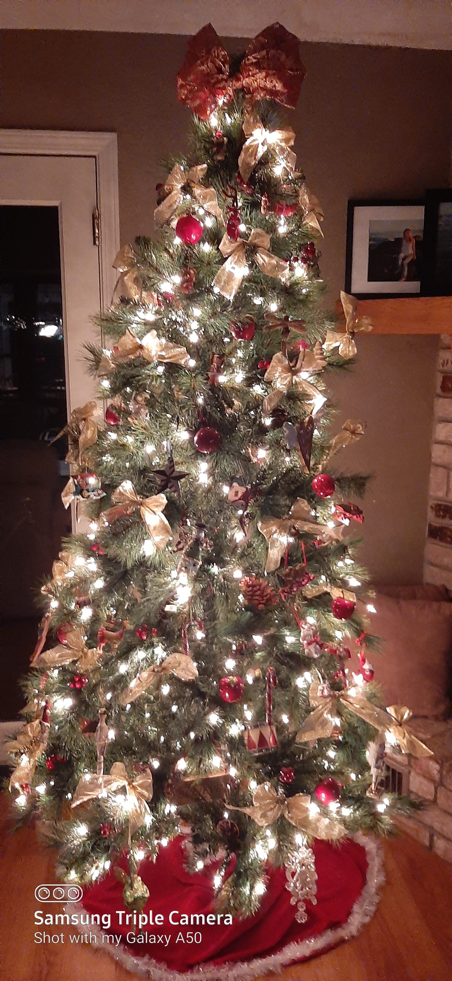 Фото участника: Елена Рудас