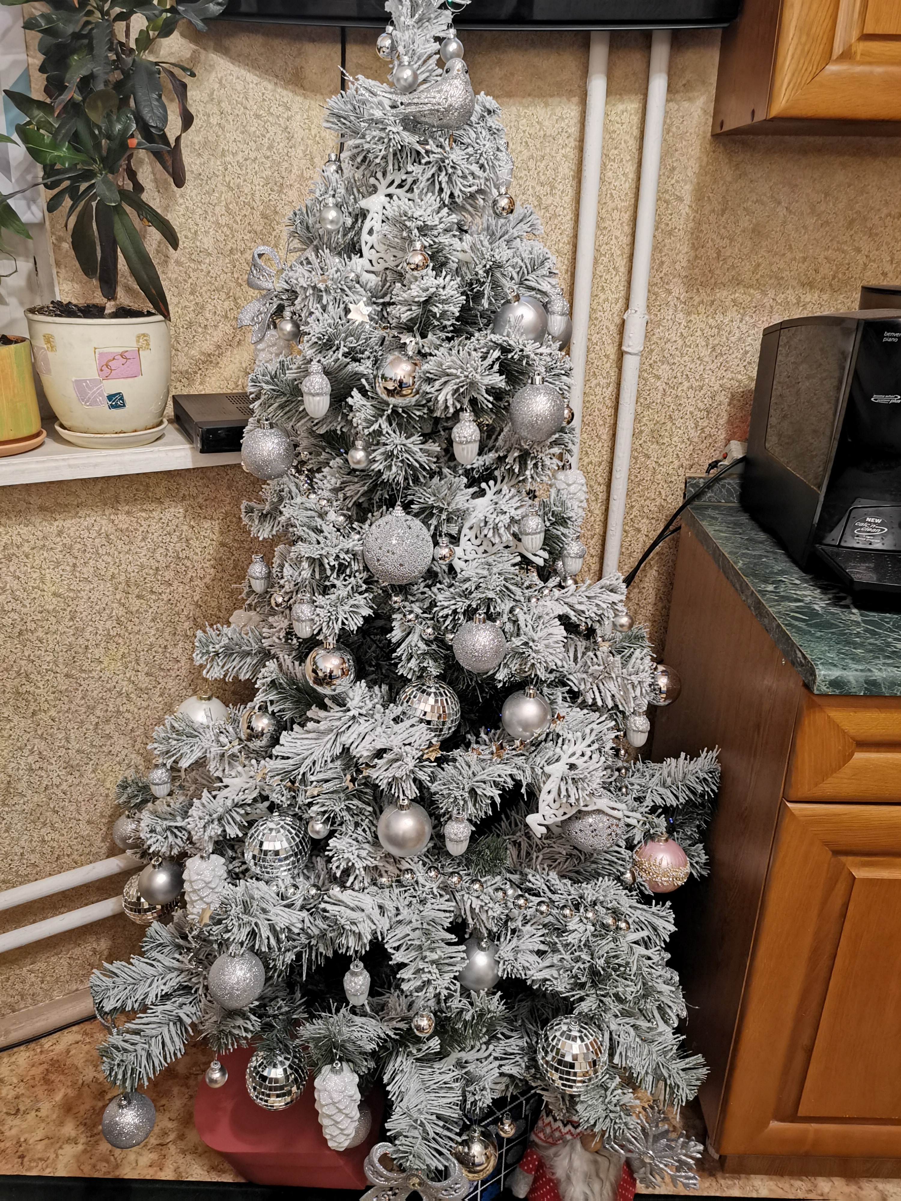 Фото участника: Андрей Жуков