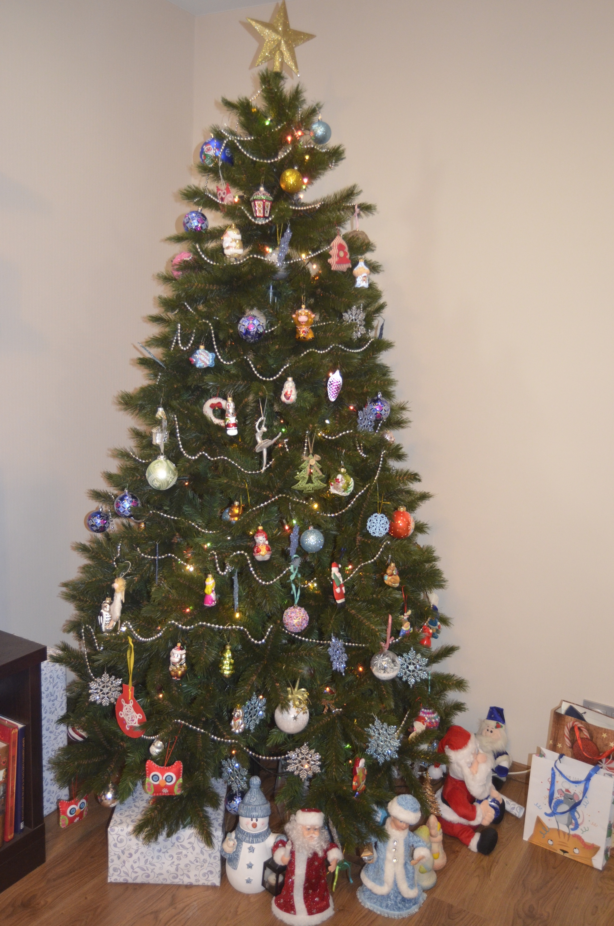 Фото участника: Павел Петренко