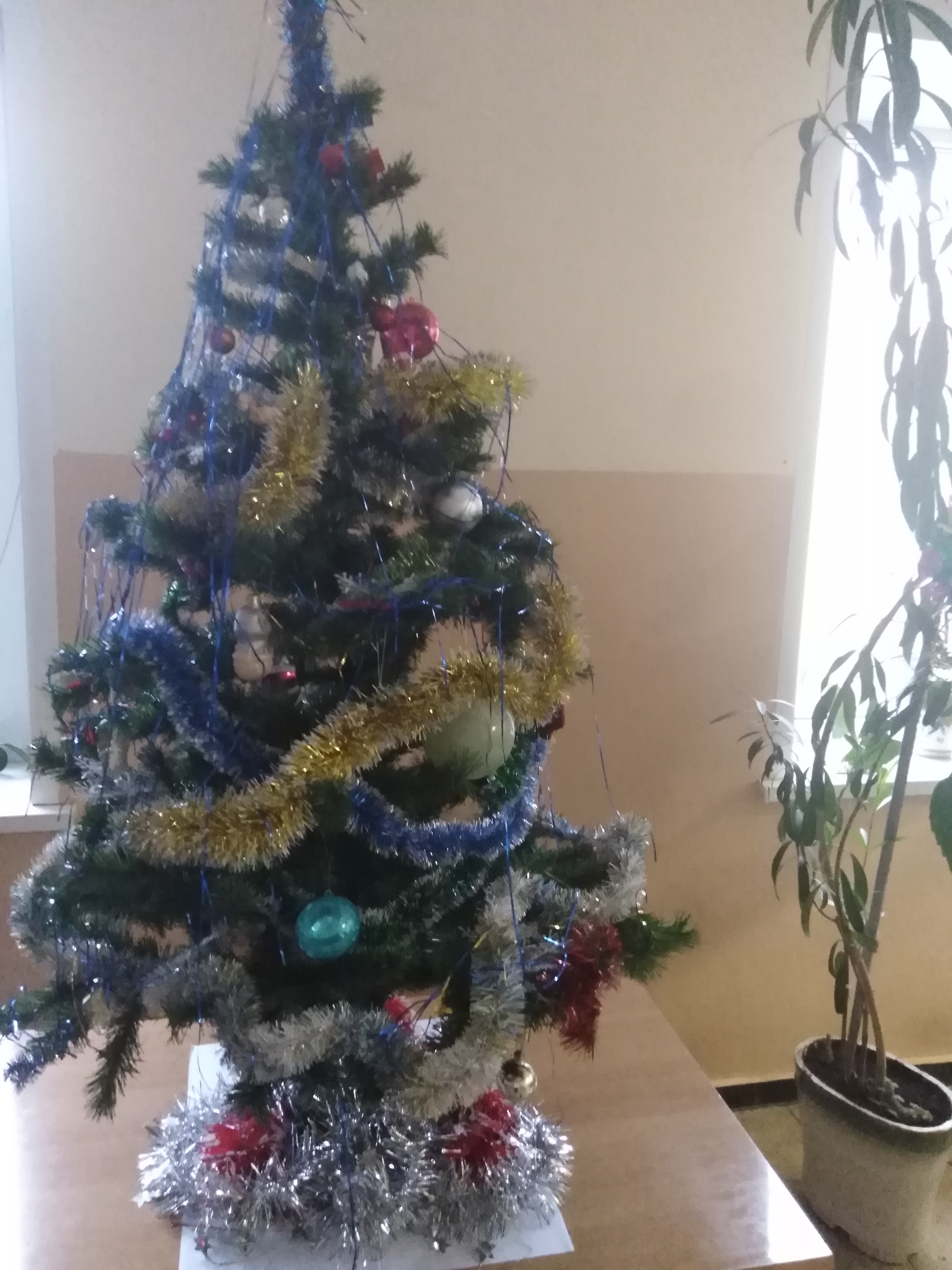 Фото участника: Король Елена