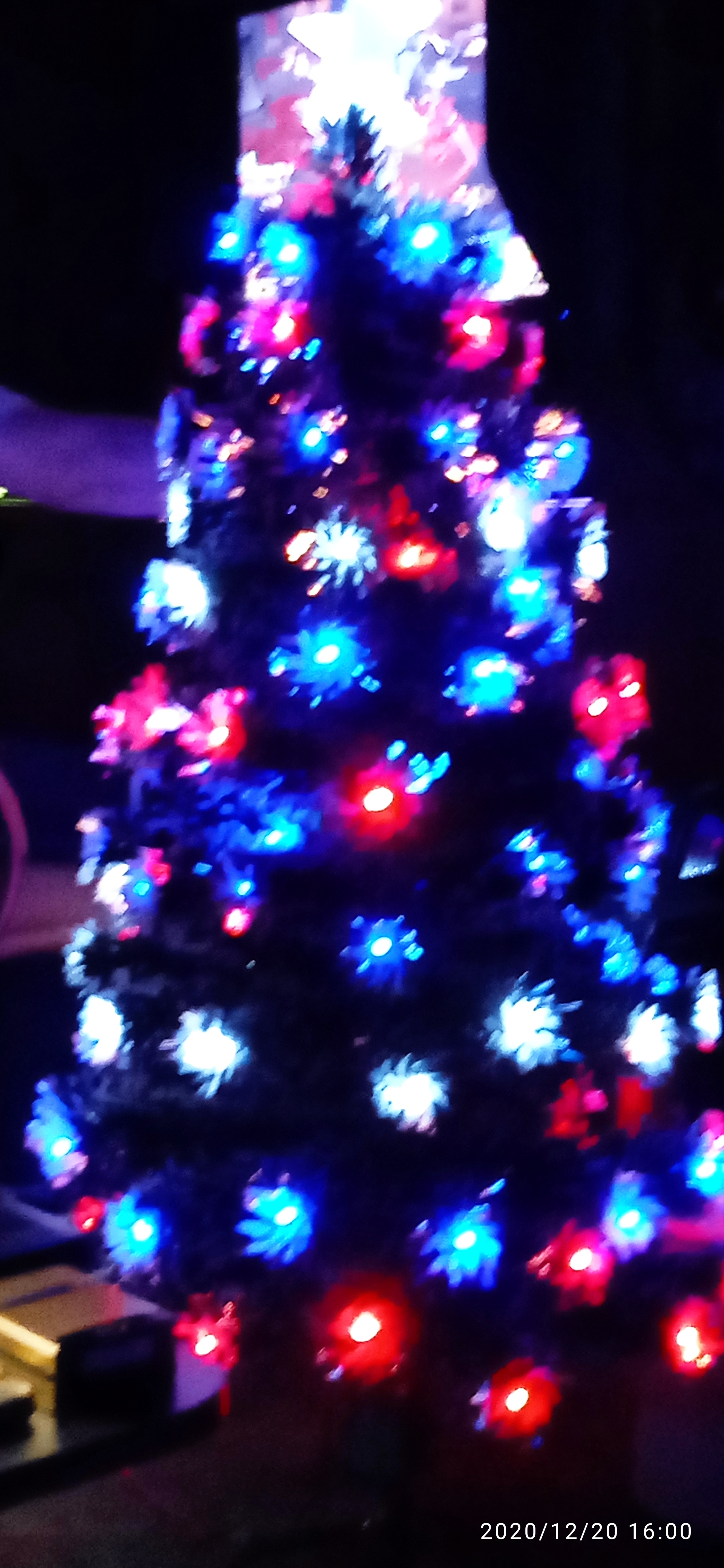 Фото участника: Тигран михайлов