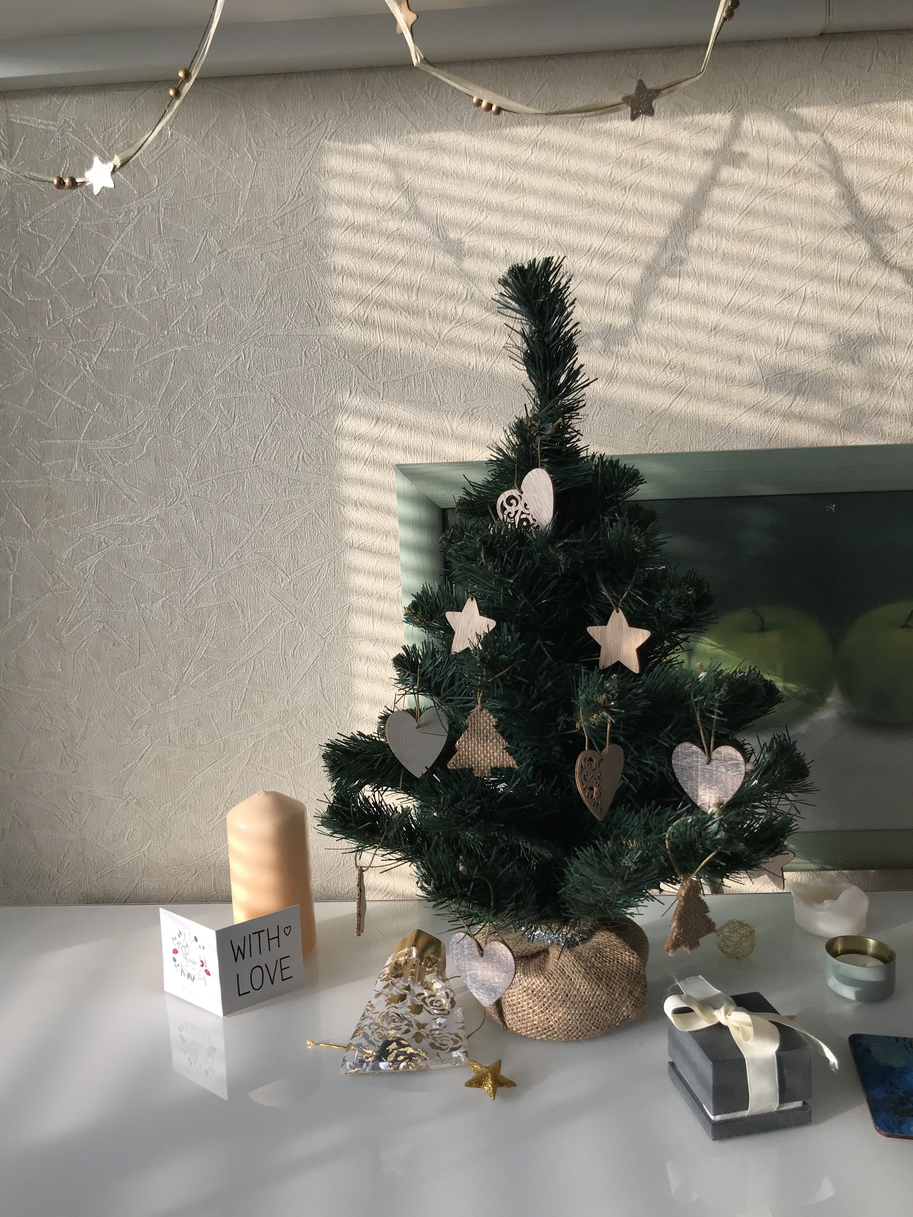 Фото участника: Дарья Некрасова