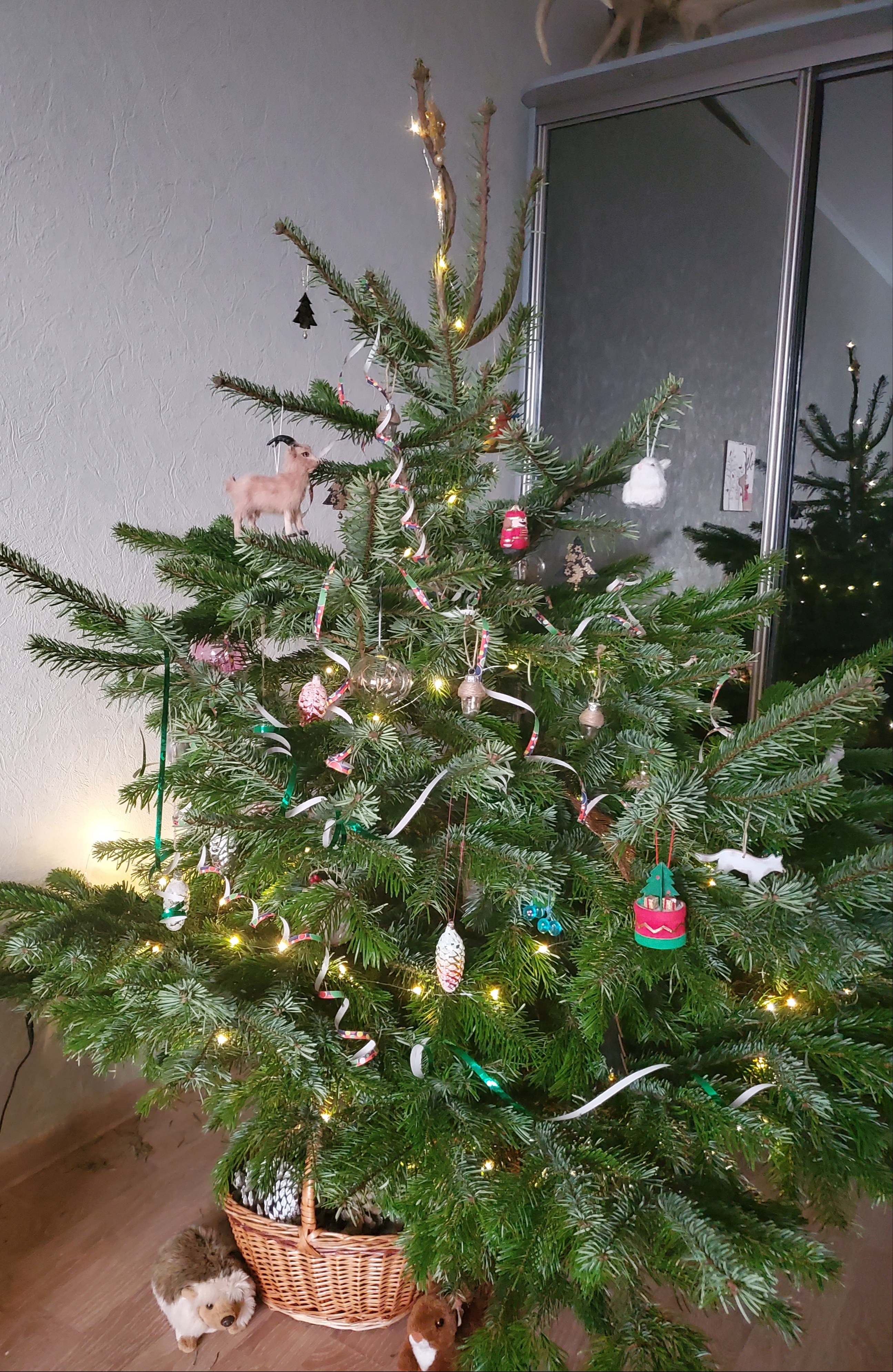 Фото участника: Ермолаева Ирина