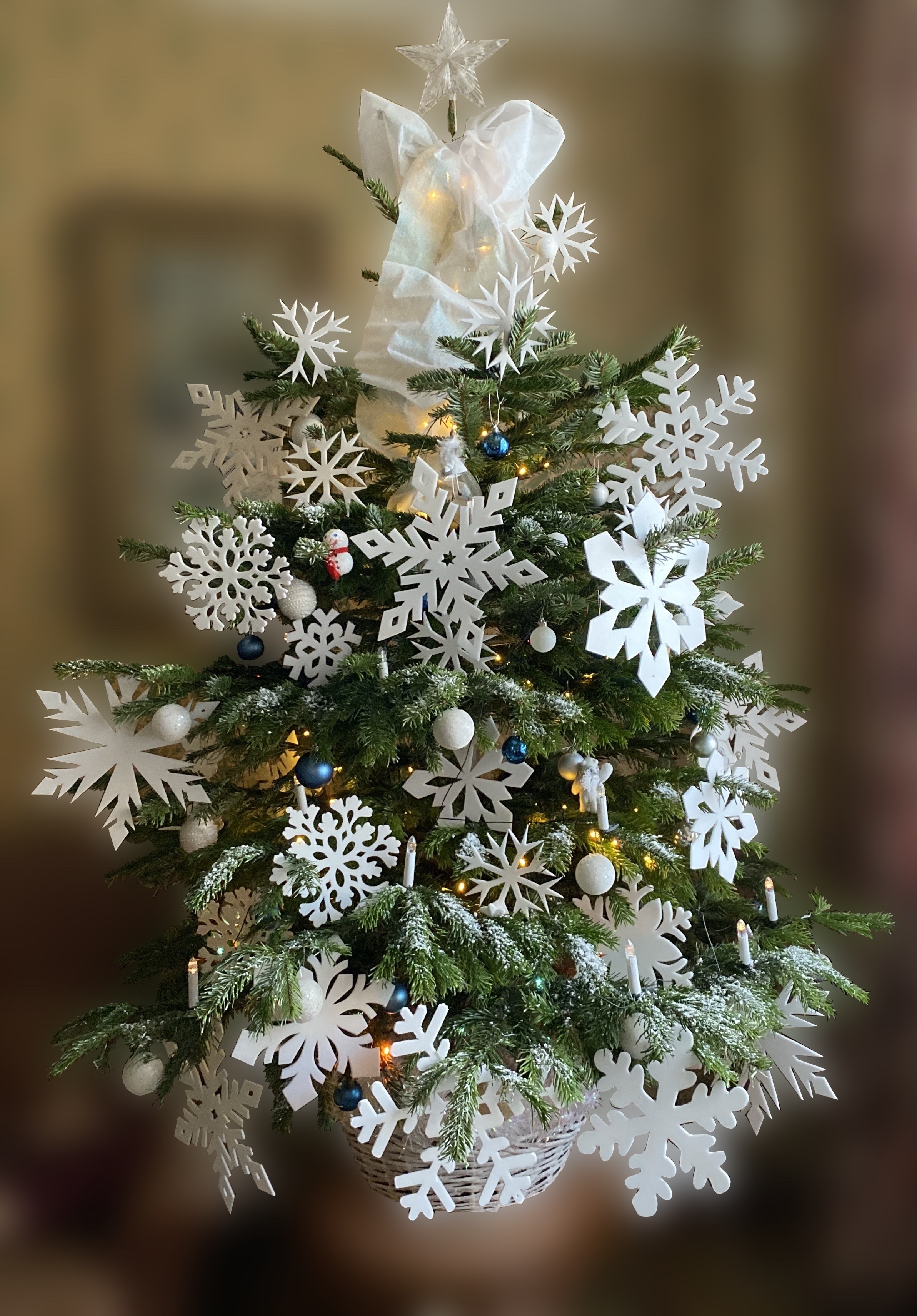 Фото участника: Марина Расходова