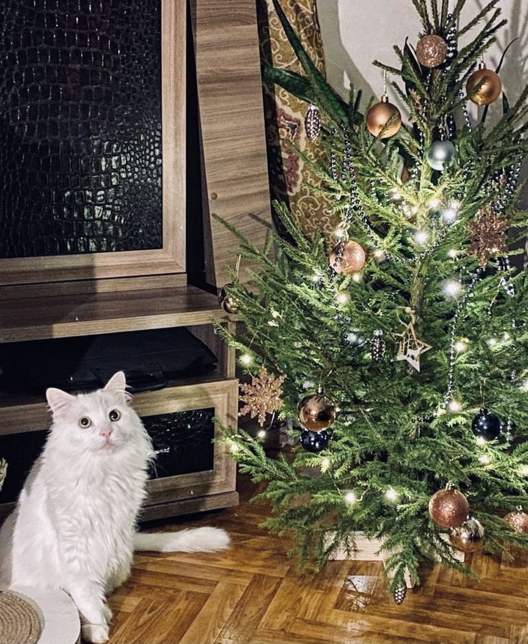 Фото участника: Ирина Михнюк