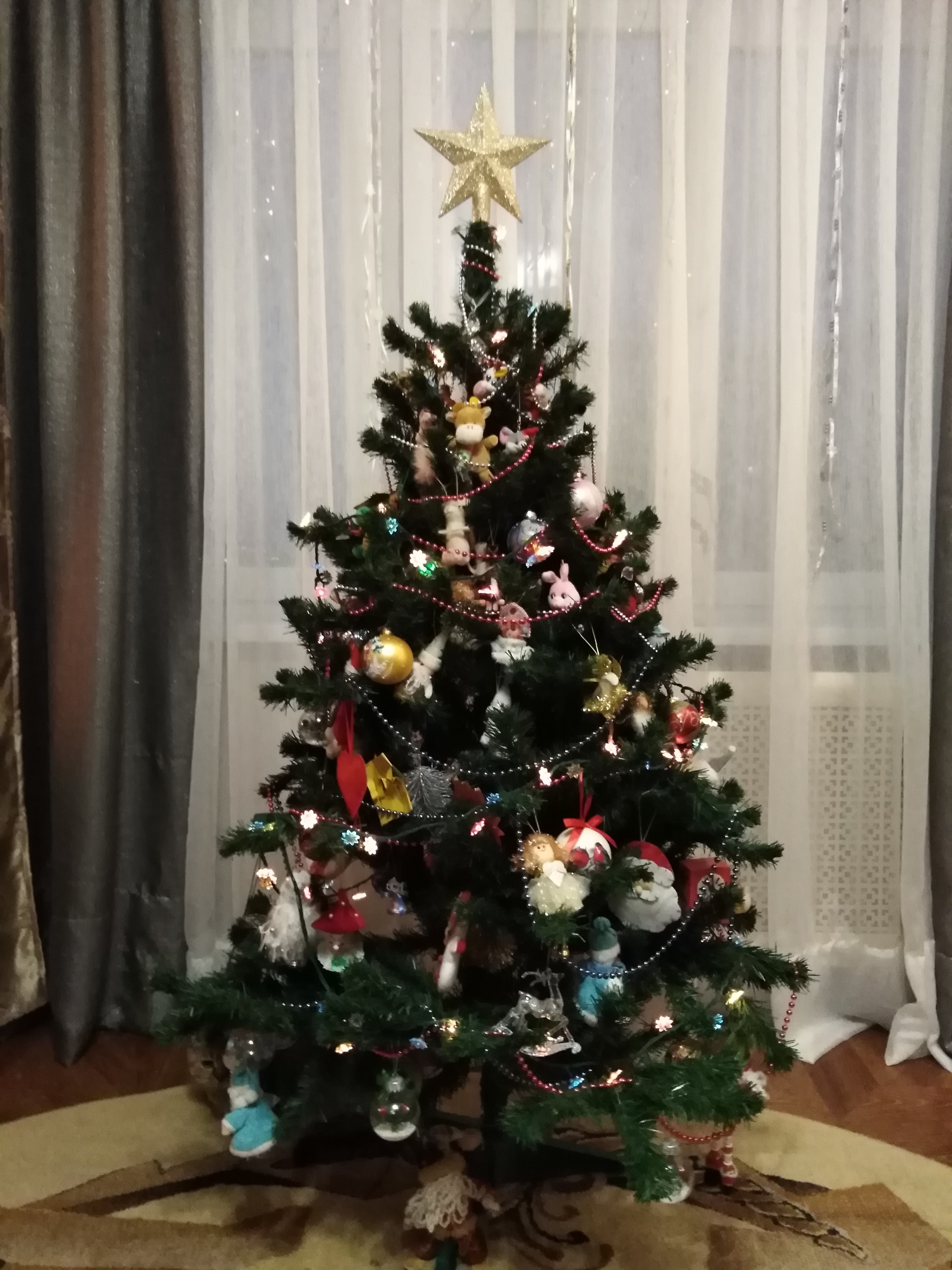 Фото участника: Наталья Никонорова