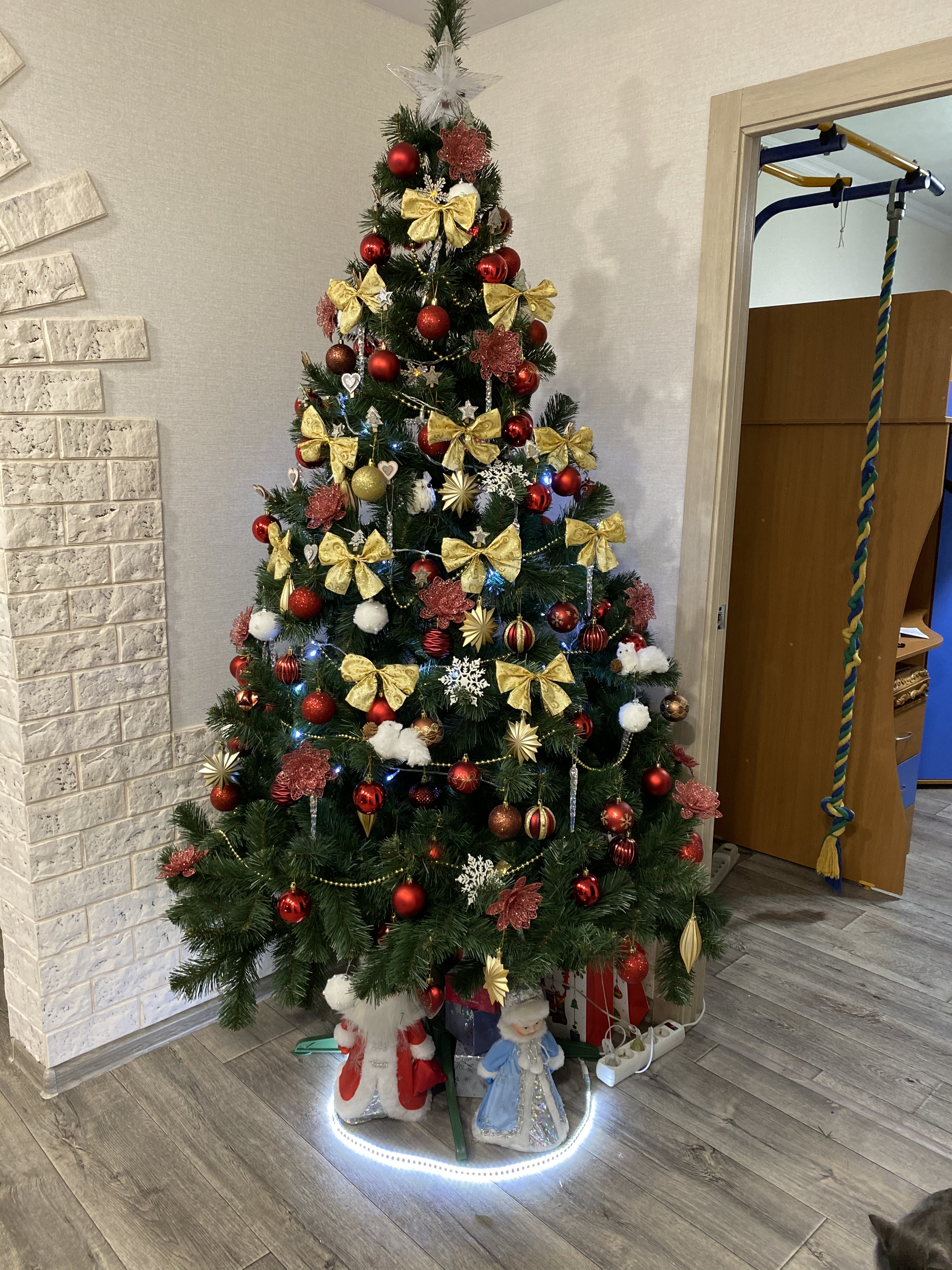 Фото участника: Фурман Наталья Иванова