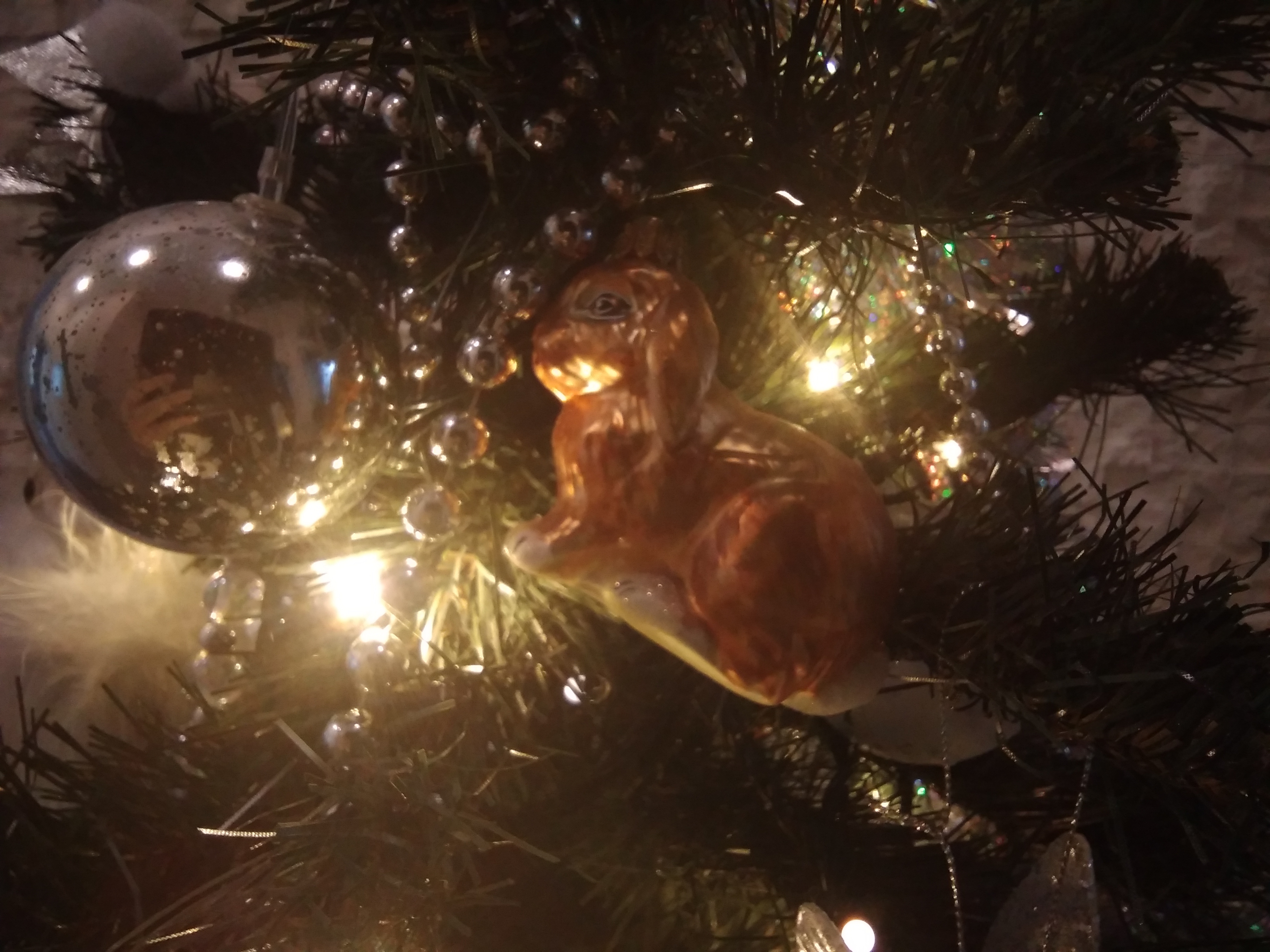 Елена Морозова 