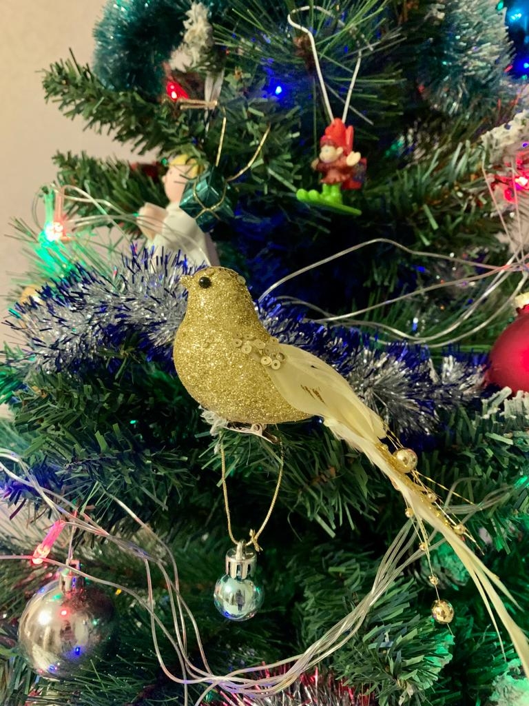 Юлия Татаркова