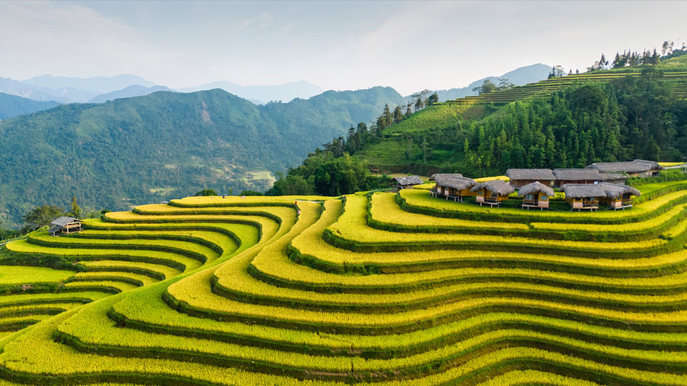 Вьетнам — страна рисовых терасс и водопадов