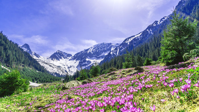 Северный Кавказ — источник вдохновения творческих людей