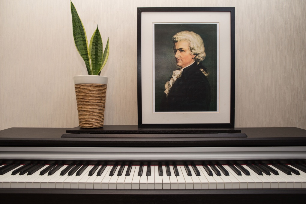 10  интересных фактов из жизни Вольфганга Амадея Моцарта 